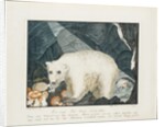 The White Bear, 1844 by Aloys Zotl