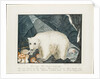 The White Bear, 1844 by Aloys Zotl