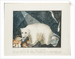 The White Bear, 1844 by Aloys Zotl