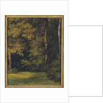 A woodland clearing, 1840 by Jean-Michel Cels