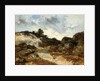Before the storm, a character on the rocky road to Jean-de-Paris by Narcisse Virgile Diaz de la Pena