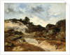 Before the storm, a character on the rocky road to Jean-de-Paris by Narcisse Virgile Diaz de la Pena