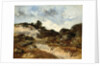 Before the storm, a character on the rocky road to Jean-de-Paris by Narcisse Virgile Diaz de la Pena