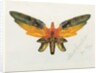 Butterfly, 1890 by Albert Bierstadt