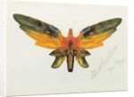 Butterfly, 1890 by Albert Bierstadt