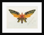 Butterfly, 1890 by Albert Bierstadt