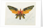 Butterfly, 1890 by Albert Bierstadt