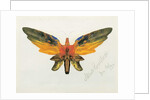 Butterfly, 1890 by Albert Bierstadt