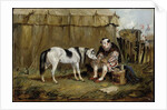 Circus, Pony and Clown by Samuel Henry Alken