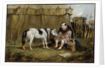 Circus, Pony and Clown by Samuel Henry Alken