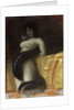 Sensuality, c.1891 by Franz von Stuck