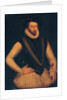 Portrait of Sir Walter Raleigh, 1595 by Marcus the Younger (manner of) Gheeraerts