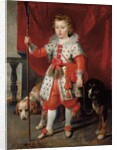 Portrait of a boy, traditionally called Francois de Boisschot by Cornelis de Vos