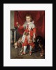 Portrait of a boy, traditionally called Francois de Boisschot by Cornelis de Vos