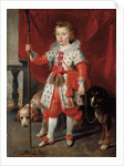 Portrait of a boy, traditionally called Francois de Boisschot by Cornelis de Vos