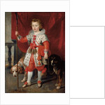 Portrait of a boy, traditionally called Francois de Boisschot by Cornelis de Vos