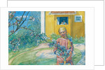 Girl with Apple Blossom, 1914 by Carl Larsson