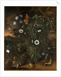 Thistles, brambles, poppies and other plants by Matthias Withoos