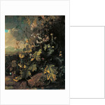 Forest floor with butterflies and lizards by Matthias Withoos