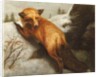 The Red Fox, 1870 by Abbott Handerson Thayer
