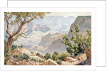 Grand Canyon by Gunnar Widforss