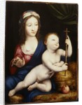 The Madonna and Child by Cornelis van Cleve