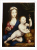 The Madonna and Child by Cornelis van Cleve