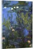 Nympheas, 1914-17 by Claude Monet