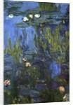 Nympheas, 1914-17 by Claude Monet