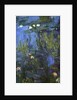 Nympheas, 1914-17 by Claude Monet