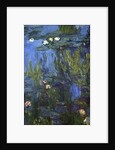 Nympheas, 1914-17 by Claude Monet