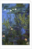 Nympheas, 1914-17 by Claude Monet