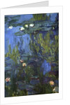 Nympheas, 1914-17 by Claude Monet