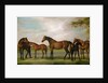 Mares and Foals Disturbed by an Approaching Storm, 1765 by George Stubbs