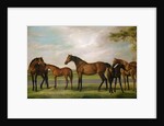 Mares and Foals Disturbed by an Approaching Storm, 1765 by George Stubbs
