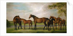 Mares and Foals Disturbed by an Approaching Storm, 1765 by George Stubbs