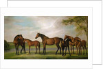 Mares and Foals Disturbed by an Approaching Storm, 1765 by George Stubbs