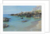 On the Capri Coast by Paul von Spaun