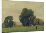Prairies de La Roche-Guyon, 1859 by Camille Pissarro