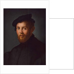 Portrait of a young man with a book by Agnolo di Cosimo Bronzino