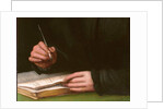 Portrait of a young man with a book by Agnolo di Cosimo Bronzino