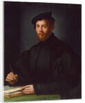 Portrait of a young man with a book by Agnolo di Cosimo Bronzino