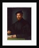 Portrait of a young man with a book by Agnolo di Cosimo Bronzino