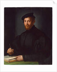 Portrait of a young man with a book by Agnolo di Cosimo Bronzino