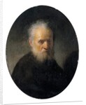 Bearded old man, 17th century by Rembrandt Harmensz. van Rijn