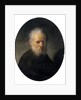 Bearded old man, 17th century by Rembrandt Harmensz. van Rijn