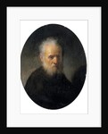 Bearded old man, 17th century by Rembrandt Harmensz. van Rijn