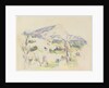 Mont Sainte-Victoire, view of Lauves, 1902-06 by Paul Cezanne