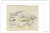 Mont Sainte-Victoire, view of Lauves, 1902-06 by Paul Cezanne