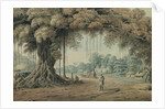 Palanquin bearers and holy men resting beneath a banyan tree at the entrance to a village, Bengal by Hubert Cornish